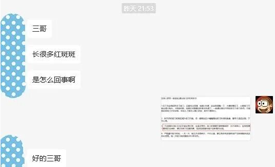 进化膏问题合集：（4）使用进化膏锻炼牛牛过程中遇到的一些问题总结。